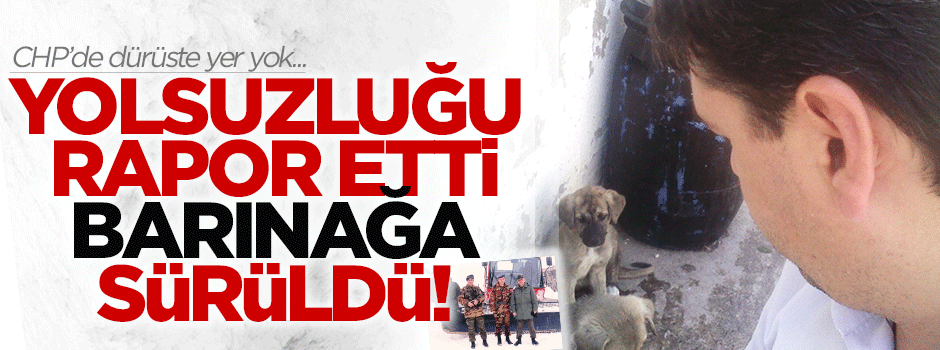 Yolsuzluğu belgeleyen YAŞ mağduru barınağa sürüldü