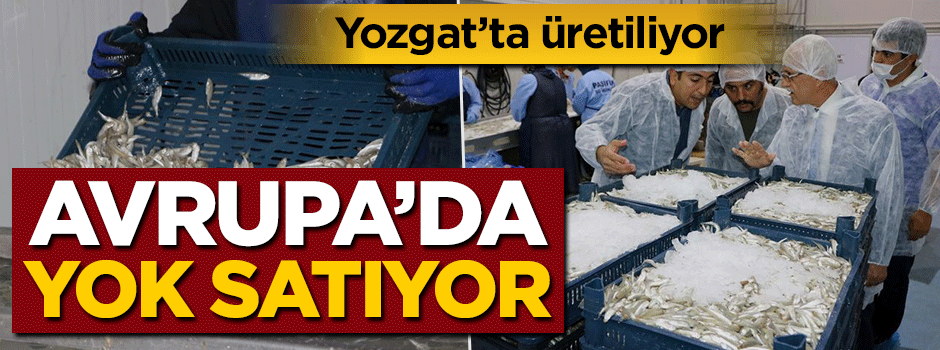 Yozgat'ta üretiliyor! Avrupa'da yok satıyor