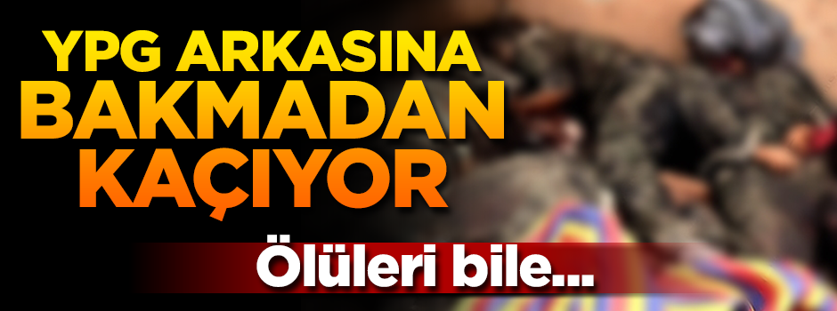 YPG arkasına bakmadan kaçıyor! Ölülerini bile almıyorlar