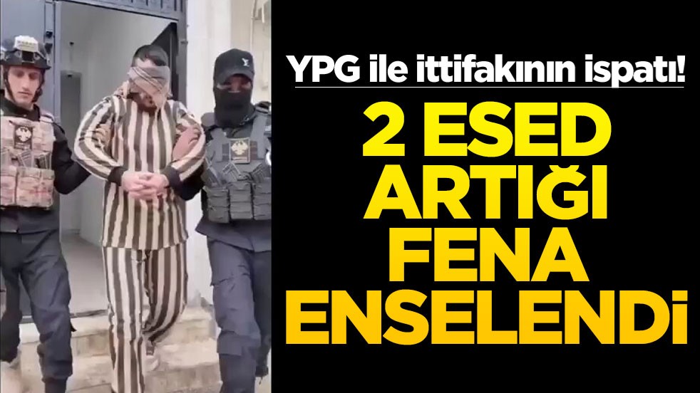 YPG ile ittifakının ispatı! 2 Esed artığı fena enselendi