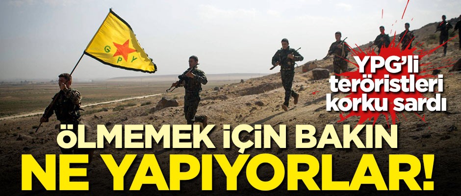 YPG'li teröristleri korku sardı! Ölmemek için bakın ne yapıyorlar