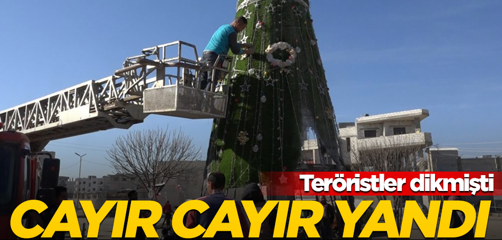 YPG'nin diktiği Noel ağacını cayır cayır yaktılar
