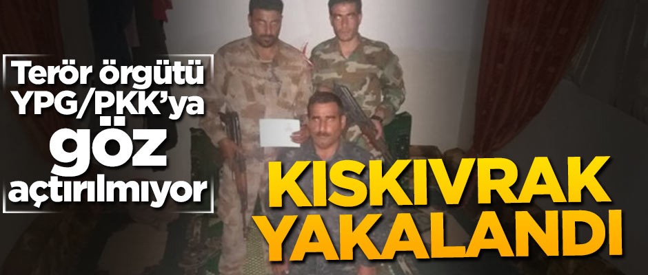 YPG'ye göz açtırılmıyor! Sözde komutan kıskıvrak yakalandı