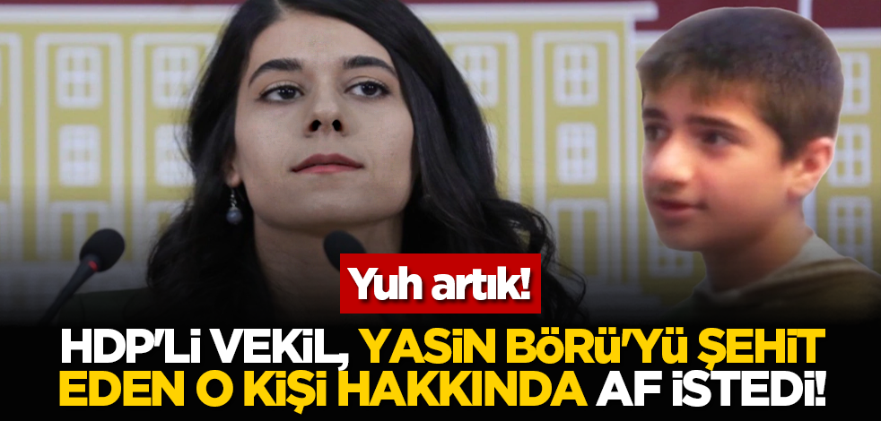Yuh artık! HDP'li vekil, Yasin Börü'yü şehit eden o kişi hakkında af istedi!