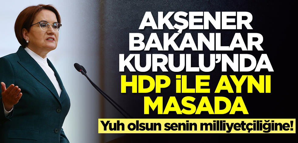 Yuh olsun senin milliyetçiliğine! Meral Akşener Bakanlar Kurulu'nda, HDP ile aynı masada