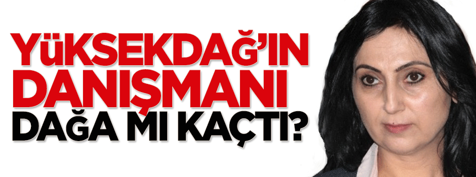 Yüksekdağ'ın danışmanı dağa mı kaçtı?