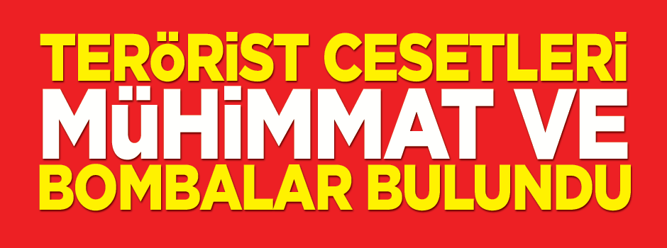 Yüksekova'da 4 teröristin cesedi bulundu