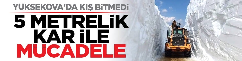 Yüksekova'da kış bitmedi: 5 metrelik kar ile mücadele