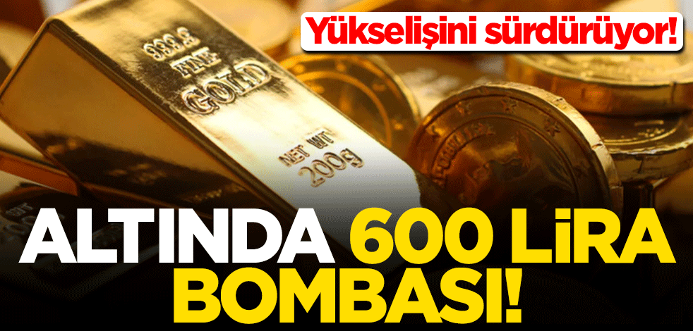 Yükselişini sürdürüyor! Altında 600 lira tahmini