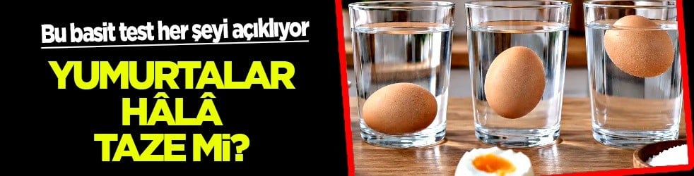 Yumurta alırken çoğu kişi bu yolu bilmiyor: Bu basit test her şeyi açıklıyor... Sakın ha sakın almayın