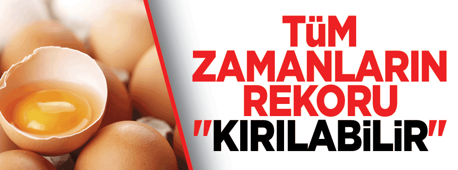 Yumurta üretiminde rekor bekleniyor
