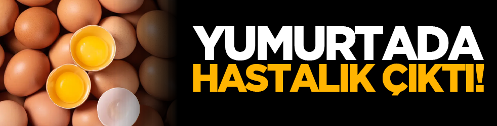 Yumurtada hastalık çıktı!
