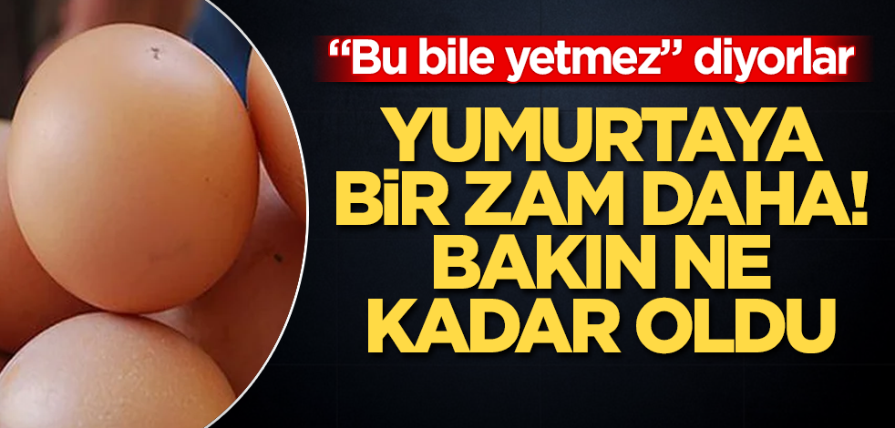 Yumurtaya bir zam daha! Bakın ne kadar oldu! "Bu bile yetmez" diyorlar