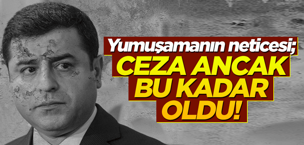 Yumuşamanın neticesi; ceza ancak bu kadar oldu!