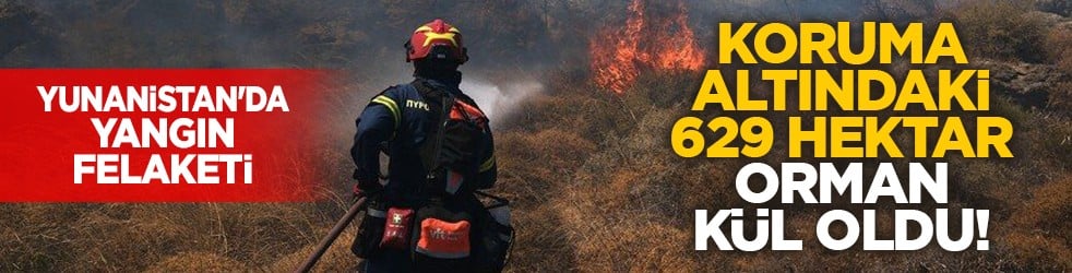 Yunanistan'da yangın felaketi: Koruma altındaki 629 hektar orman kül oldu!