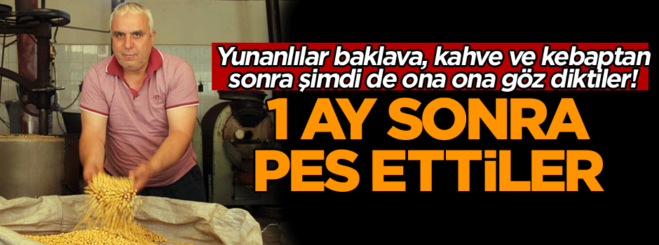 Komşu şimdi de ona göz dikti! 1 ay sonra pes ettiler