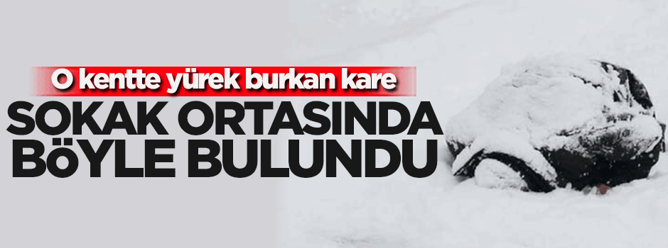 Yürek burkan kare! Sokak ortasında böyle bulundu...