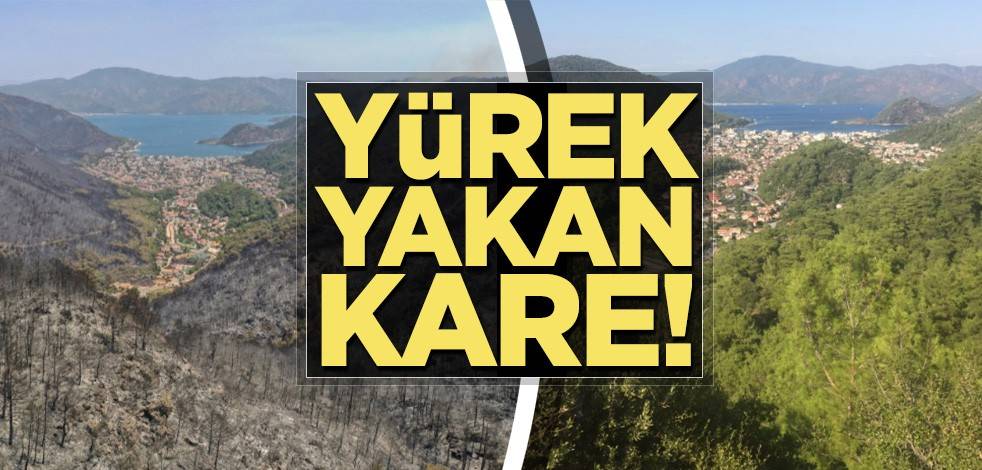 Yürek yakan kare!