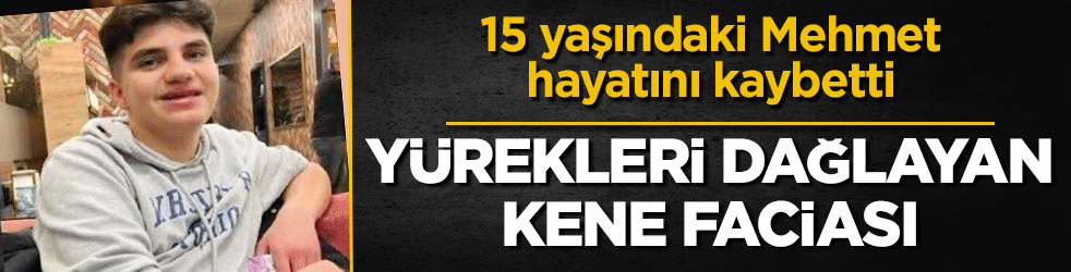 Yürekleri dağlayan kene faciası: 15 yaşındaki Mehmet, hayatını kaybetti
