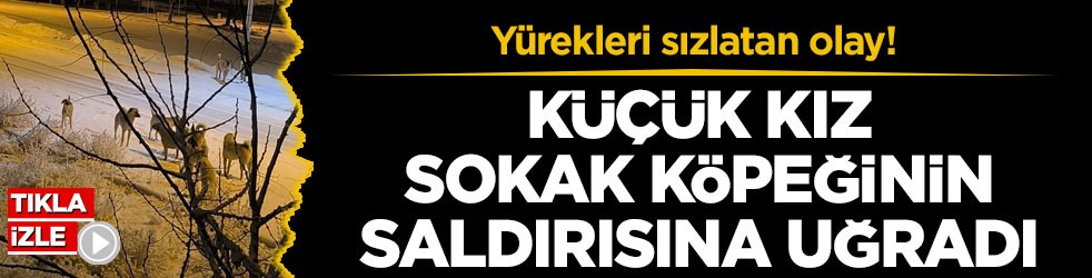 Yürekleri sızlatan olay! Küçük kız sokak köpeğinin saldırısına uğradı