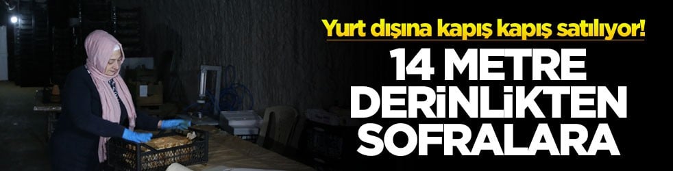 Yurt dışına kapış kapış satılıyor! 14 metre derinlikten sofralara