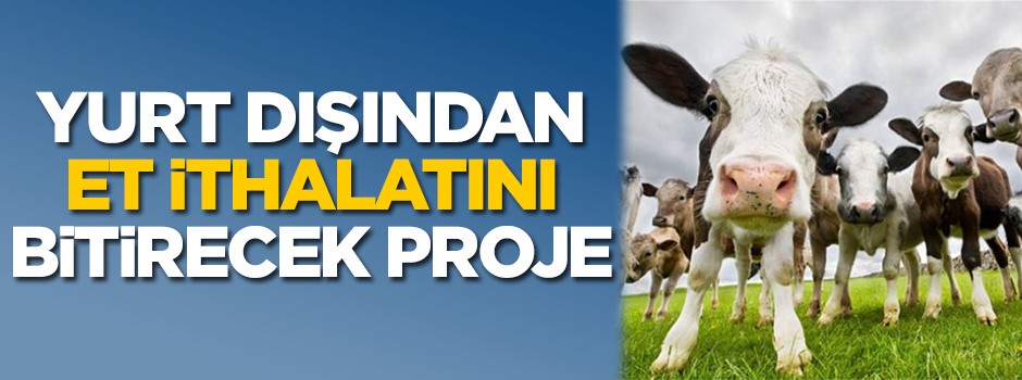 Yurt dışından et ithalatını bitirecek proje