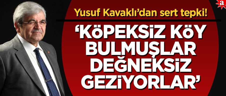 Yusuf Kavaklı'dan İslam karşıtı başlıklara sert tepki! ‘Köpeksiz köy bulmuşlar, değneksiz geziyorlar’