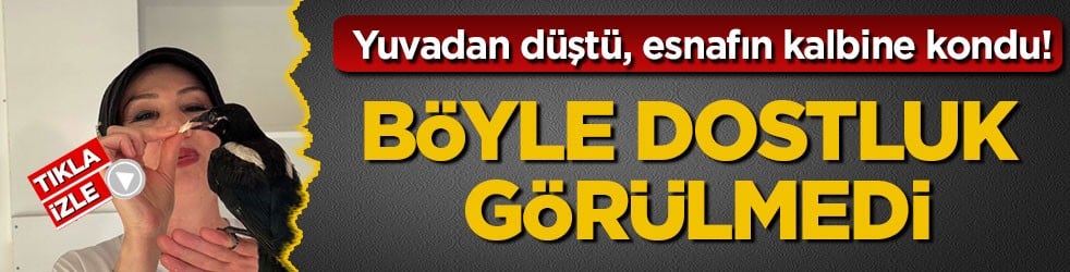Yuvadan düştü, esnafın kalbine kondu! Böyle dostluk görülmedi