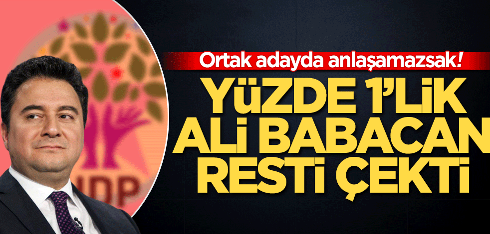Yüzde 1’lik Ali Babacan resti çekti Ortak adayda anlaşamazsak…