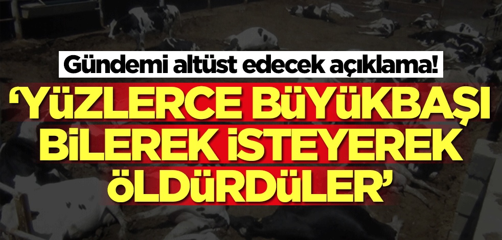 'Yüzlerce büyükbaş hayvanı bilerek isteyerek öldürdüler' dedi ve şok eden detayı duyurdu