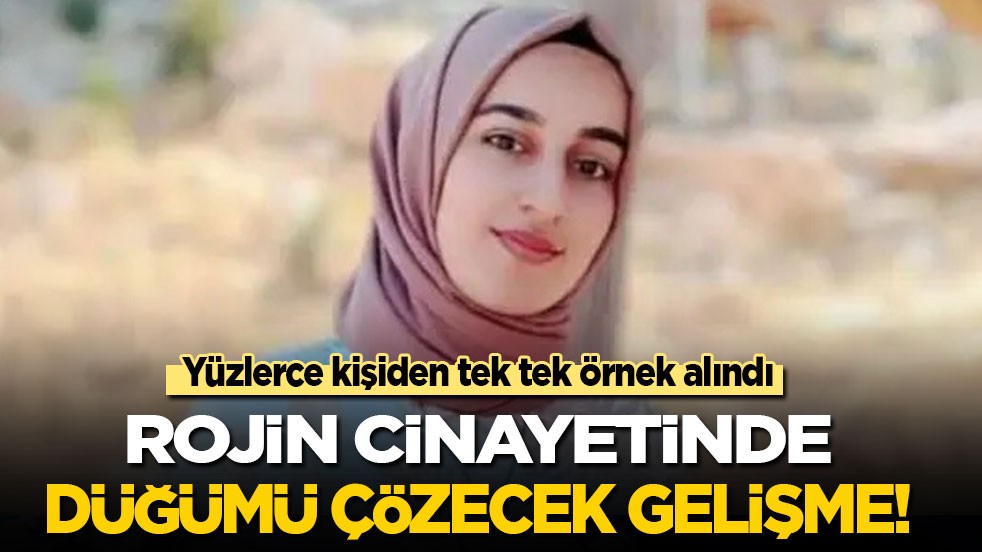Yüzlerce kişiden tek tek alındı: Rojin cinayetinde düğümü çözecek gelişme
