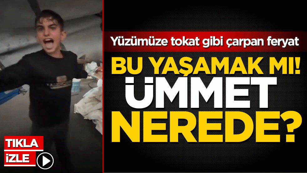 Yüzümüze tokat gibi çarpan feryat: Bu yaşamak mı! Ümmet nerede?