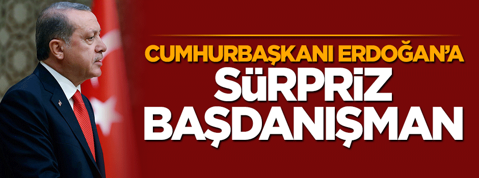 Cumhurbaşkanı Erdoğan'a sürpriz başdanışman