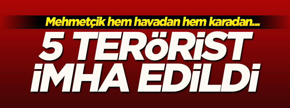 Zap bölgesinde operasyon! 5 terörist imha edildi