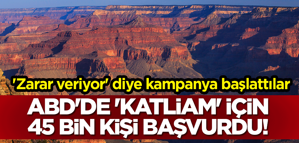 'Zarar veriyor' diye kampanya başlattılar! ABD'de 'katliam' için 45 bin kişi başvurdu!