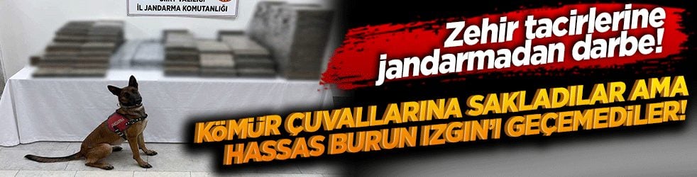 Zehir tacirlerine jandarmadan darbe! Kömür çuvallarına sakladılar ama hassas burun Izgın’ı geçemediler!