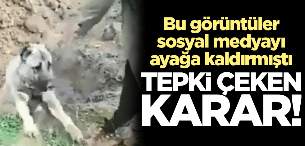 Zehirlenerek öldürüldüğü iddia edilen çoban köpeğinin sahini serbest bırakıldı
