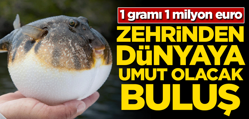 Zehrinden tüm dünyaya umut olan buluş! 1 gramı 1 milyon euro