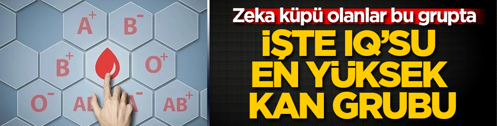 Zeka küpü olanlar bu grupta: İşte IQ’su en yüksek kan grubu