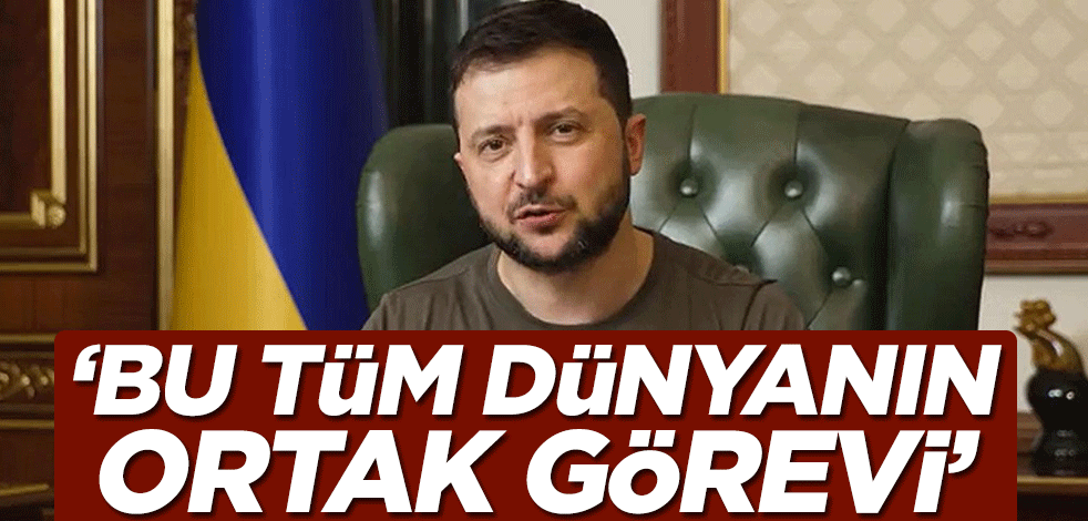 Zelenskiy'den çağrı: Bu tüm dünyanın ortak görevi