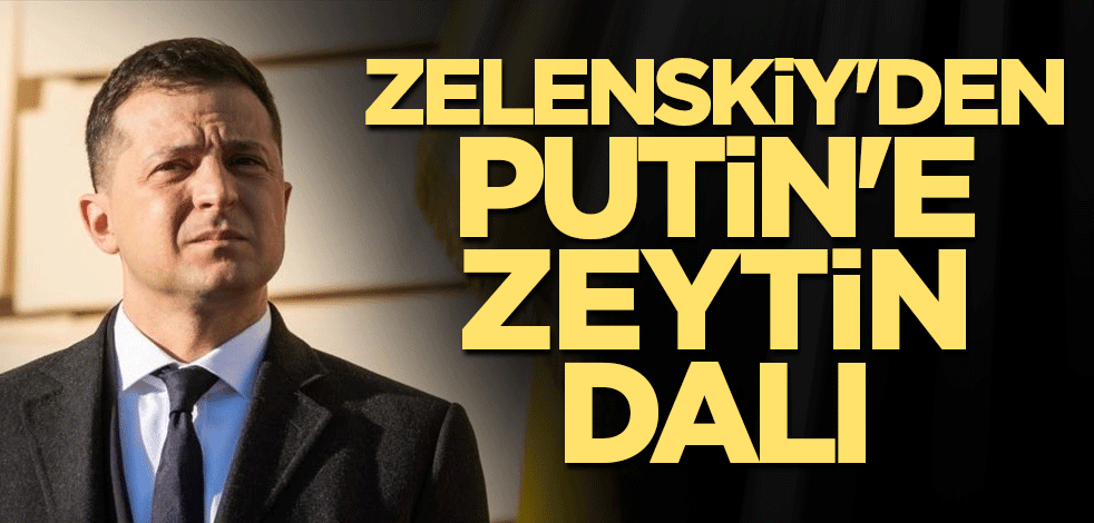 Zelenskiy'den Putin'e zeytin dalı