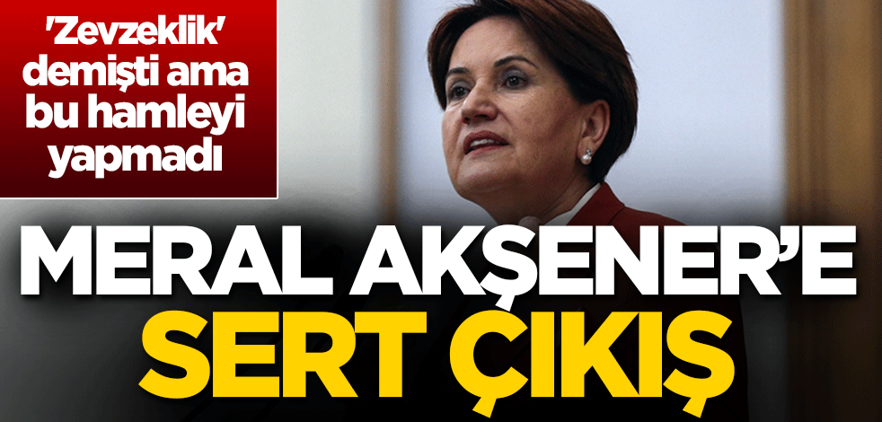 'Zevzeklik' demişti, bu hamleyi yapmadı! Meral Akşener'e sert çıkış