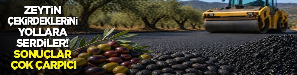 Zeytin çekirdeklerini yollara serdiler! Sonuçlar çok çarpıcı
