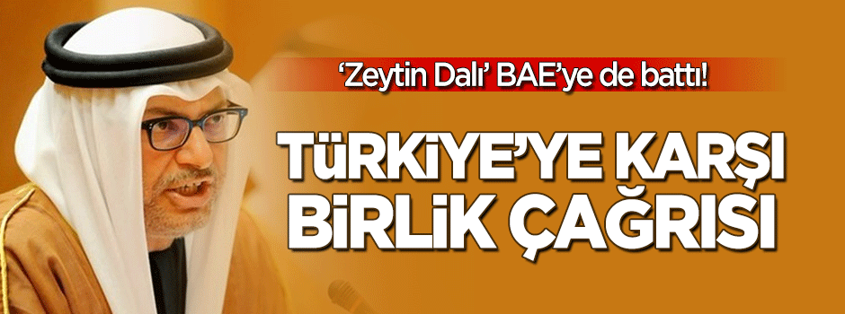 'Zeytin Dalı' BAE’ye battı, bakanı öttü