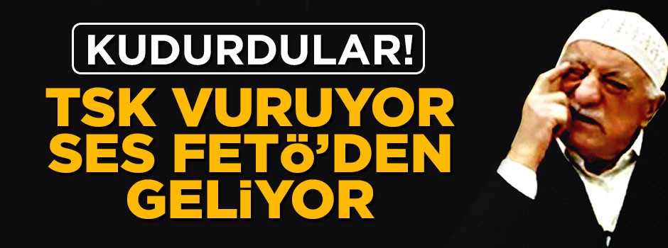 Zeytin Dalı Harekatı FETÖ'yü kudurttu