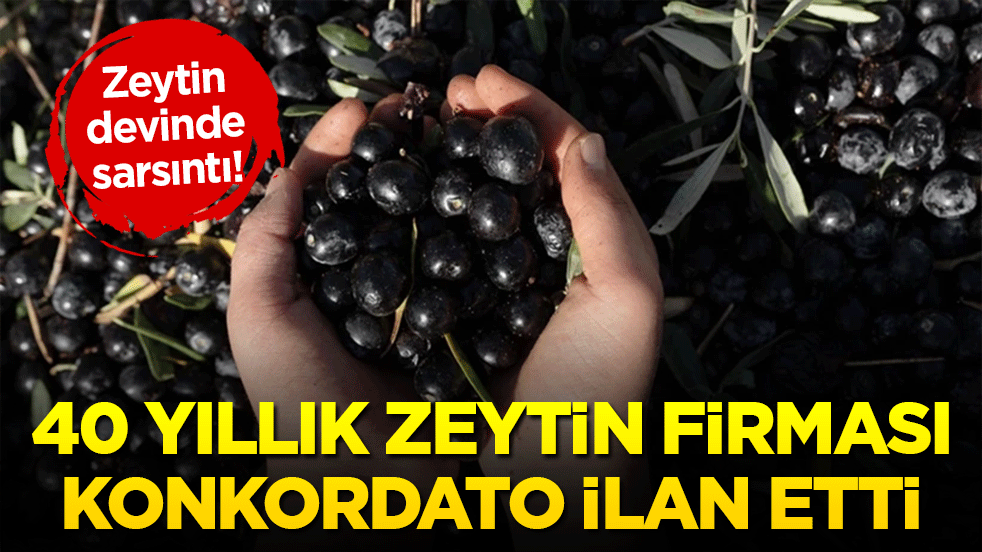 Zeytin devinde sarsıntı! 40 yıllık yerli dev BAKTAT konkordato ilan etti!