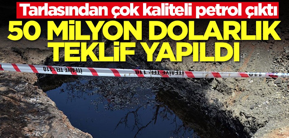 Zeytin tarlasında petrol çıktı! 50 milyon dolarlık teklif yaptılar... Adam şaşkına döndü