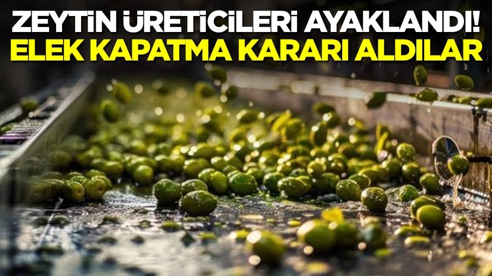 Zeytin üreticileri ayaklandı: Elek kapatma kararı aldılar