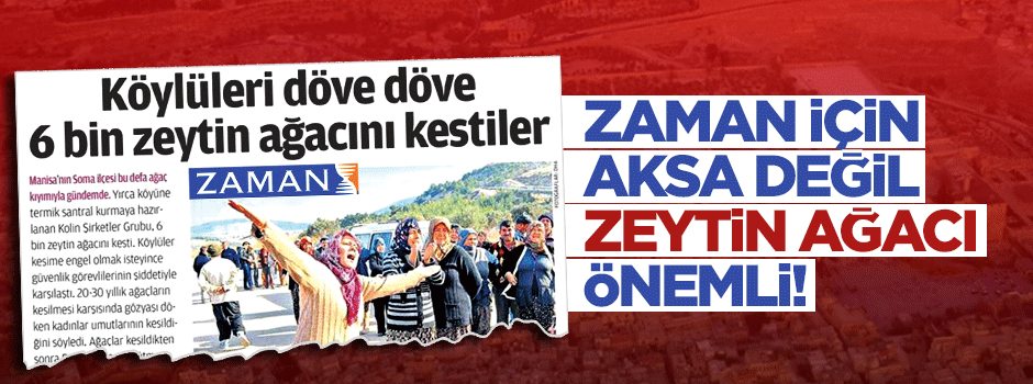 Zeytinliği gördüler Aksa’yı ‘pas’ geçtiler
