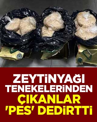 Zeytinyağı tenekelerinden çıkanlar 'pes' dedirtti